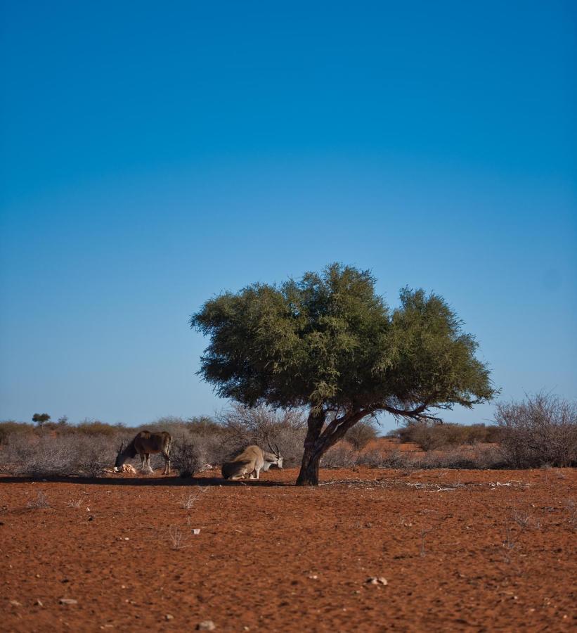 Kalahari Anib Campsite Hardap Εξωτερικό φωτογραφία